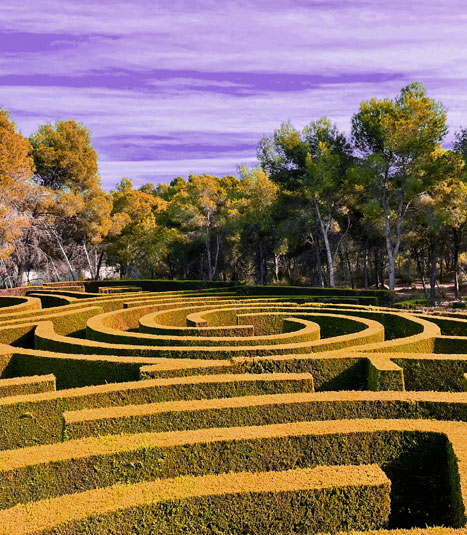 About OmniMaze